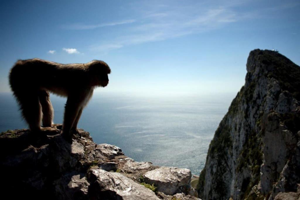Best Location 2 Bed2 Bath W/Lift In Town! Gibraltar Extérieur photo